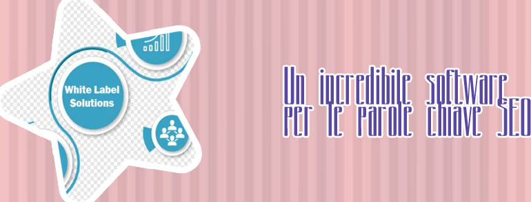 Software per casinò white label