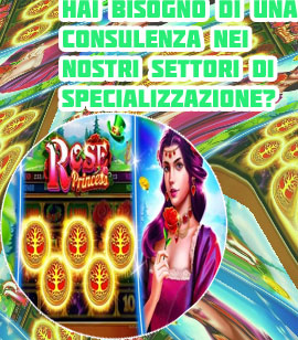 Studio di sviluppo per casinò cash