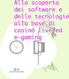Sviluppo software privato per giochi d'azzardo